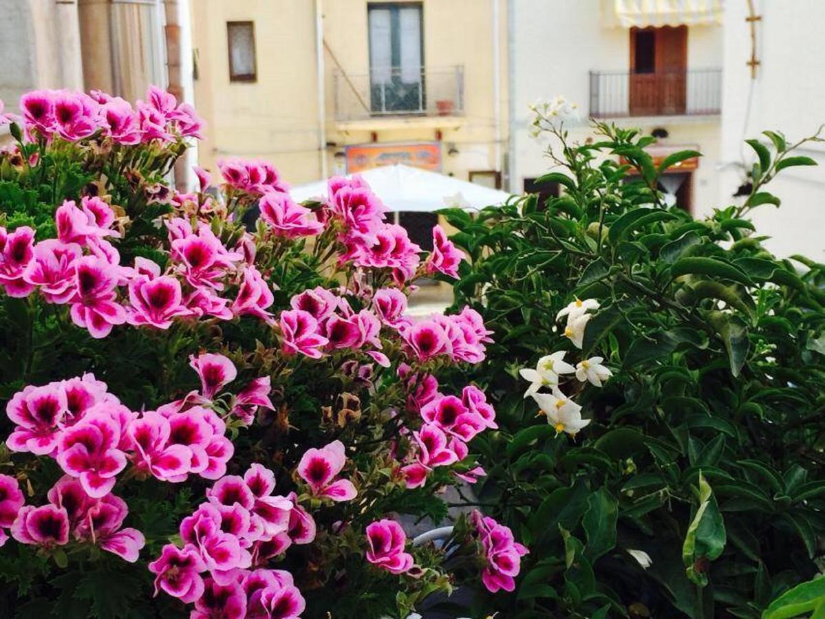 Ai Dammusi Rooms San Vito Lo Capo Exterior photo